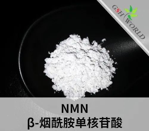 煙酰胺單核苷酸（NMN）原料藥簡介