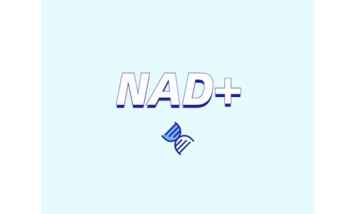 為什么要增強(qiáng)NAD+？