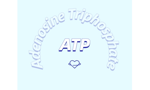 ATP補充劑對運動有什么益處？