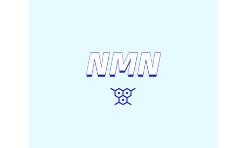 NMN為何是抗衰老研究熱點(diǎn)？