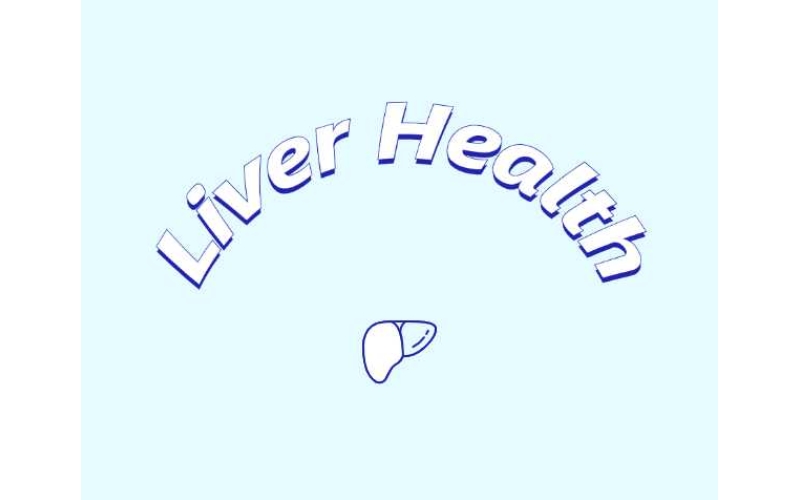 哪些原料可助力肝臟健康？